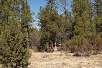 Land for sale in Navajo County, Arizona