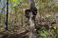 Commercial Property for sale in Frederick County, Virginia