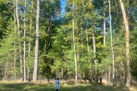 Timberland Property in Gilmer County, Georgia