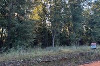 Homesite for sale in Seminole County, Georgia