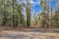 Land for sale in Baldwin County, Alabama