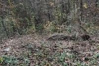 Timberland Property for sale in Forsyth County, North Carolina