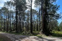 Undeveloped Land for sale in Putnam County, Florida