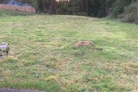 Land for sale in Humboldt County, California