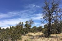 Land for sale in Cibola County, New Mexico