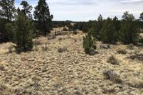 Farm and Ranch for sale in Cibola County, New Mexico