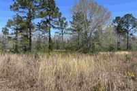 Land for sale in Santa Rosa County, Florida