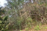 Land for sale in Washington County, Florida