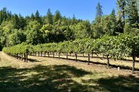 Undeveloped Land for sale in Josephine County, Oregon