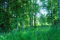 Farm and Ranch for sale in Matanuska-Susitna Borough, Alaska