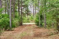 Undeveloped Land for sale in Houston County, Alabama