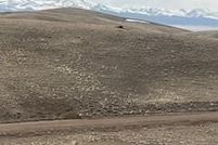 Undeveloped Land for sale in Park County, Colorado