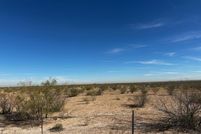 Undeveloped Land for sale in Ward County, Texas