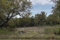 Recreational Property for sale in Burnet County, Texas
