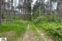 Undeveloped Land in Grand Traverse County, Michigan