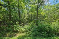 Timberland Property for sale in Spotsylvania County, Virginia