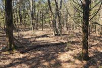 Land for sale in Marion County, Arkansas
