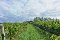 Undeveloped Land for sale in Leelanau County, Michigan