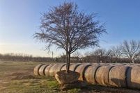 Timberland Property for sale in Comanche County, Texas