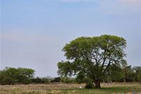 Land for sale in Coryell County, Texas