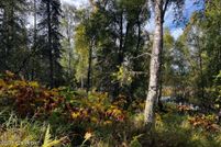 Undeveloped Land for sale in Kenai Peninsula Borough, Alaska