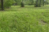Land for sale in Sabine Parish, Louisiana