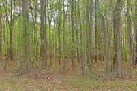 Land for sale in Calhoun County, South Carolina