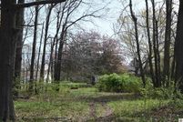 Timberland Property for sale in Marshall County, Kentucky