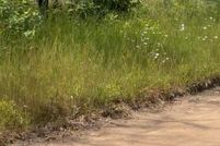 Recreational Property for sale in Lake County, Michigan