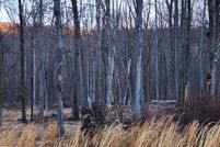 Land for sale in Luzerne County, Pennsylvania