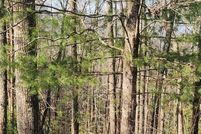 Timberland Property for sale in Towns County, Georgia