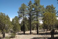 Recreational Property for sale in Navajo County, Arizona