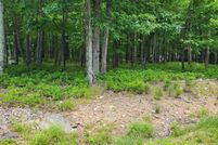 Undeveloped Land in Luzerne County, Pennsylvania