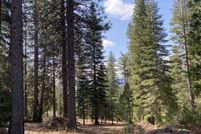 Undeveloped Land for sale in Siskiyou County, California