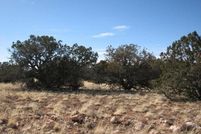 Land for sale in Navajo County, Arizona