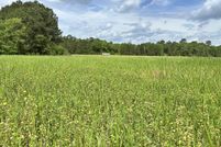 Undeveloped Land for sale in Berkeley County, South Carolina