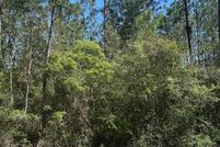 Homesite for sale in Hancock County, Mississippi