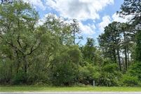 Homesite for sale in Lake County, Florida
