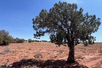 Farm and Ranch for sale in Navajo County, Arizona