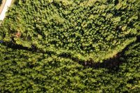 Undeveloped Land for sale in Itawamba County, Mississippi