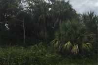 Land for sale in Collier County, Florida