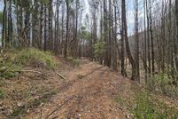 Undeveloped Land for sale in Carroll County, Virginia