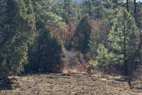 Homesite for sale in Rio Arriba County, New Mexico