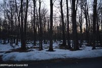 Land for sale in Wayne County, Pennsylvania