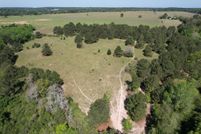 Undeveloped Land for sale in Houston County, Texas