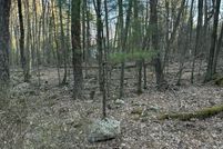 Land for sale in Pike County, Pennsylvania