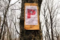 Farm and Ranch for sale in Windham County, Vermont