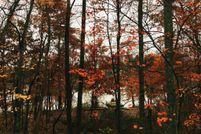 Undeveloped Land for sale in Bucks County, Pennsylvania