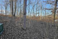 Homesite for sale in Ogemaw County, Michigan