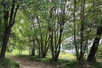 Homesite for sale in Lamar County, Texas